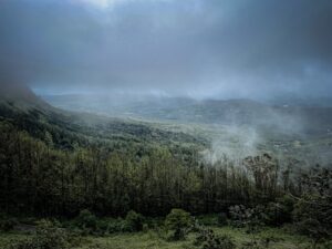 Coorg Beauty Trip